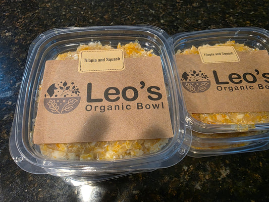 7 Powerful Health Benefits of Tilapia & Squash Meals for Dogs | Leo’s Organic Bowl