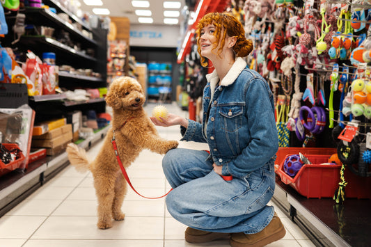 Essential Supplies Checklist for NJ Dog Owners: What to Buy Before Bringing Home Your Pup