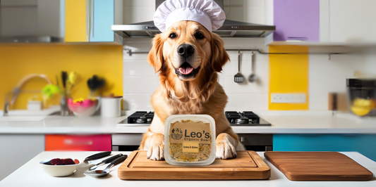 How Fresh Dog Food Supports Healthy Skin & Shiny Coats | Leo’s Organic Bowl