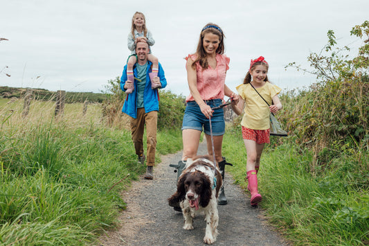 Top Dog Breeds for Active New Jersey Families