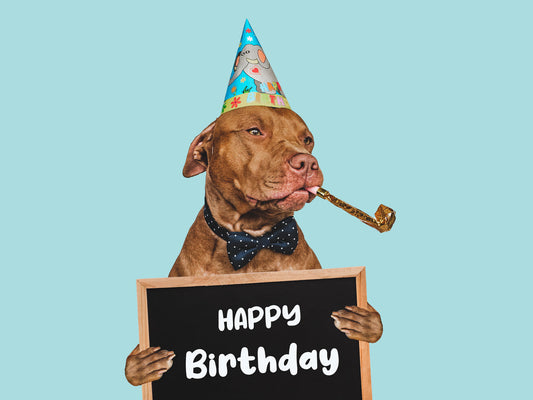 🐾 Leo’s Organic Bowl Oat & Carrot Signature Pup Cake