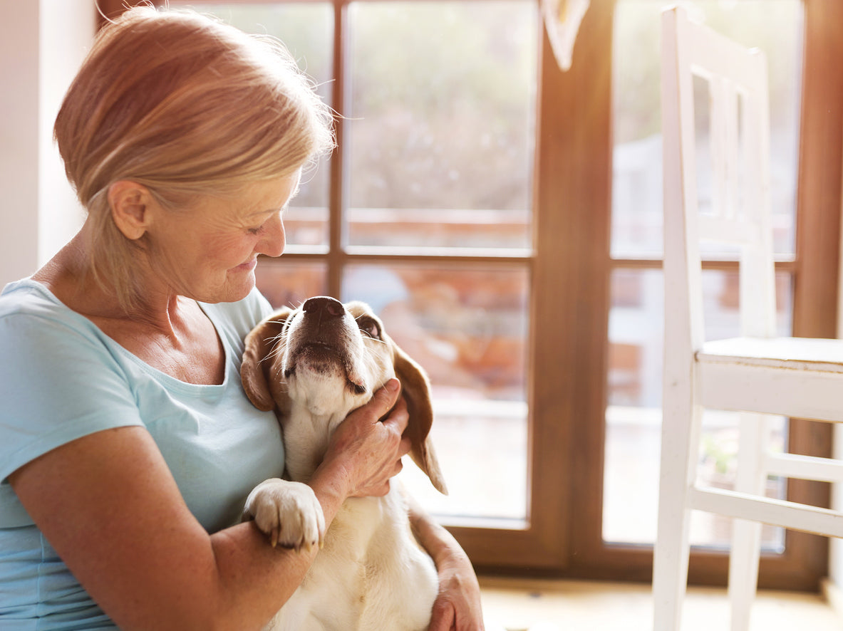 The Rise of Holistic Dog Care