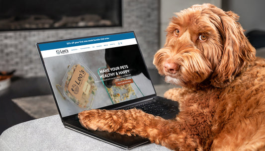 Homemade Dog Food Delivery | A Healthier Choice for Your Pet
