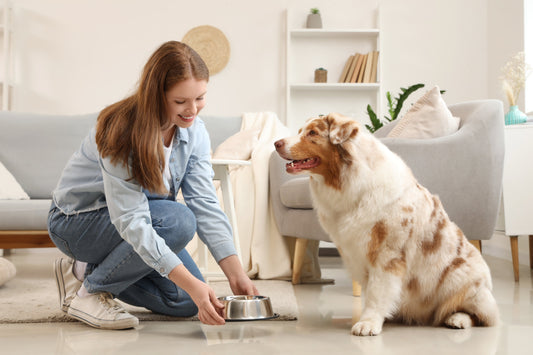 Fresh Food vs Kibble Comparison Chart